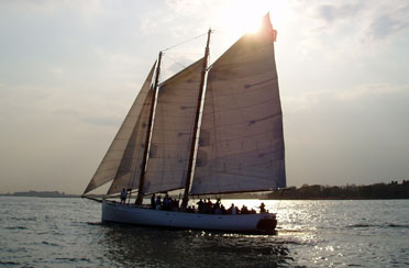 nyc sightseeing boat tours